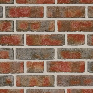 Cărămida klinker Roben FORMBACK buntgeflammt
