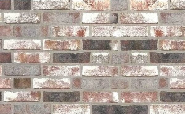 Placaj klinker Roben GEESTBRAND Felsgrau