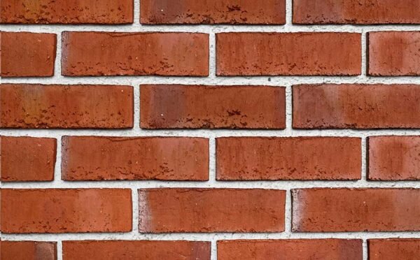 Placaj klinker Roben Wiesmoor hellrot-bunt